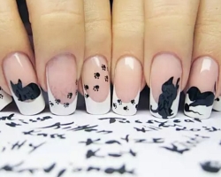 Manicure with cats on nails: design, photo. How to draw a cat on the nails in stages?