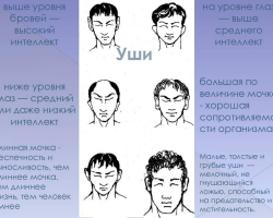 Physiognomy: Definizione del carattere di un uomo e una donna sotto forma di orecchie